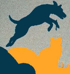 Service : garde animaux Service : garde animaux