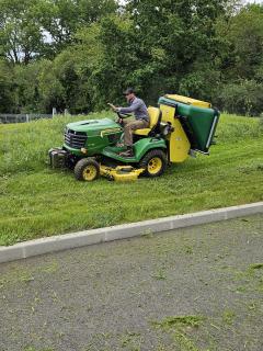 Service : elagage Service : elagage