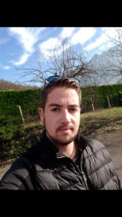 Service : taille de haies Service : taille de haies