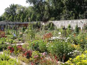Louer le jardin