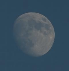 Service : photographie Service : photographie