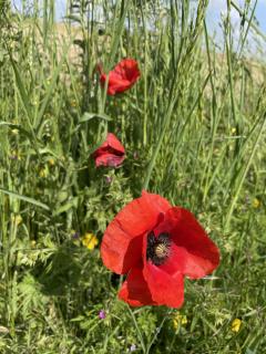 Service : multi services Service : multi services