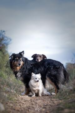 Service : photographie Service : photographie