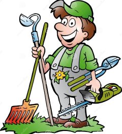 Service : entretien jardin Service : entretien jardin