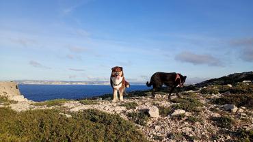 Service : menage Service : menage