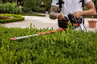 Demander ce jardinier
