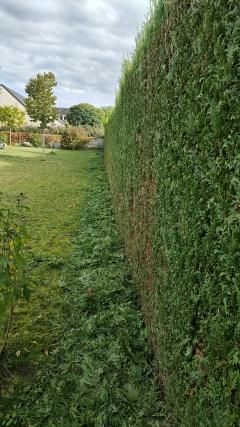 Demander ce jardinier