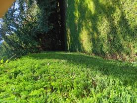 Service : paysagiste Service : paysagiste