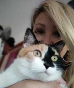 Demander ce catsitter