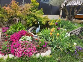 Service : multi services Service : multi services