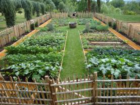 Location jardin potager entre particuliers