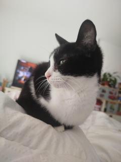 Service : chat Service : chat