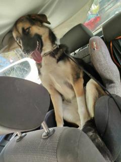 Service : garde enfants Service : garde enfants