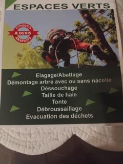 Service : taille de haies Service : taille de haies