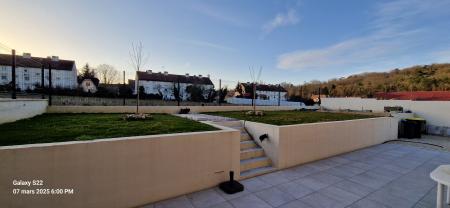 Service : chien Service : chien