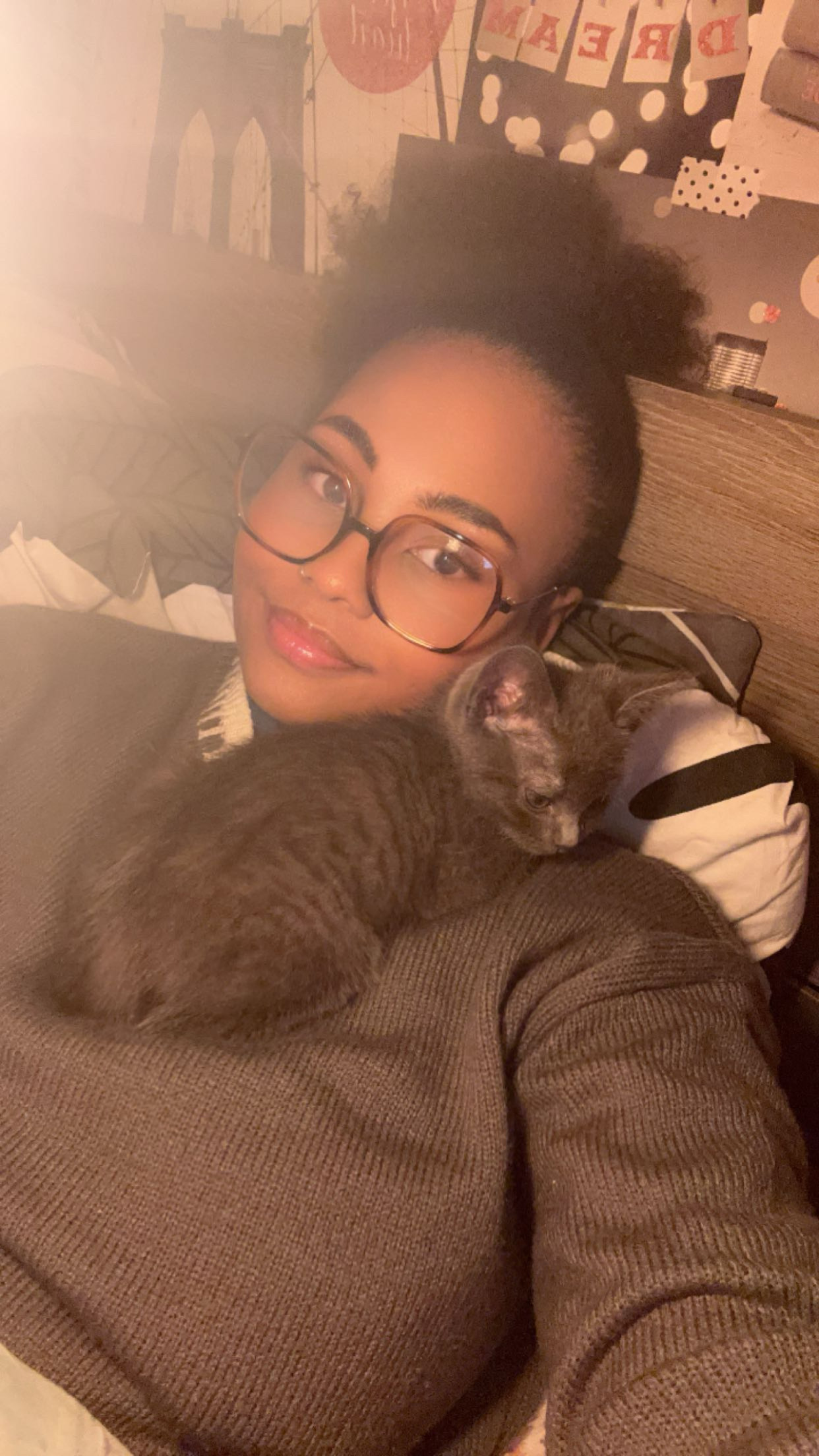 Service garde animaux 58 entre particuliers