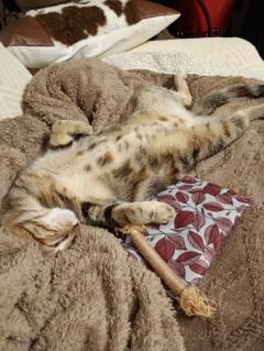 Service : chat Service : chat