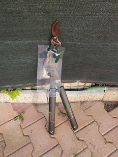 Louer le coupe-branche