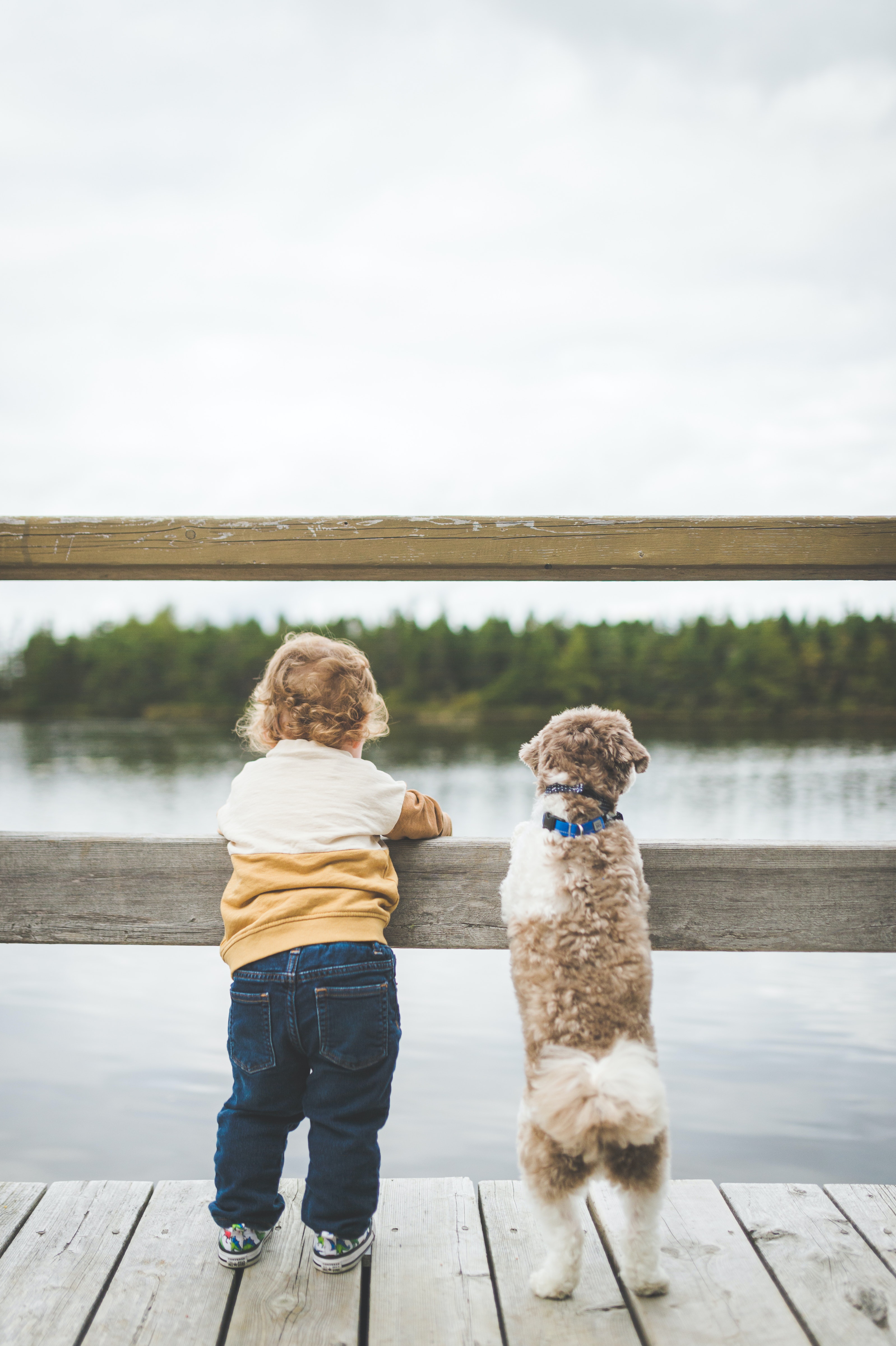 Service garde enfants 63 entre particuliers
