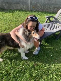 Service : promeneur chien