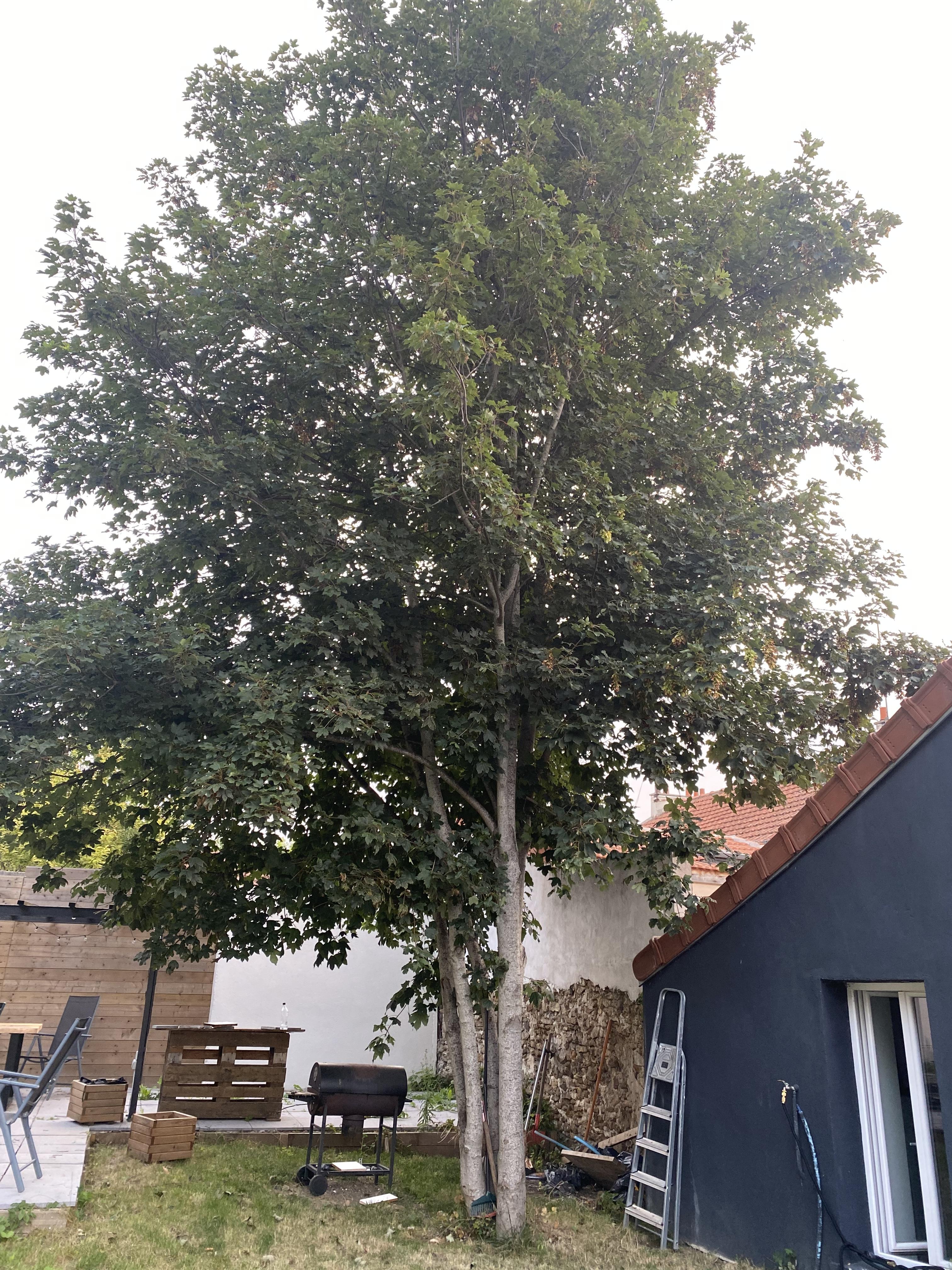 Service elagage 94 entre particuliers