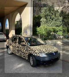 Louer la voiture