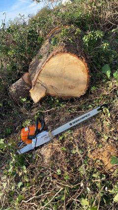 Location : tronconneuse Location : tronconneuse