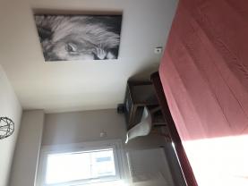 Location : colocation appartement