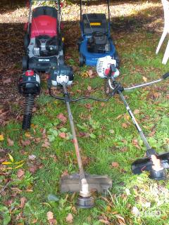 Location : taille haie Location : taille haie