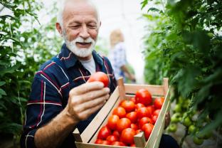 Location jardin potager entre particuliers