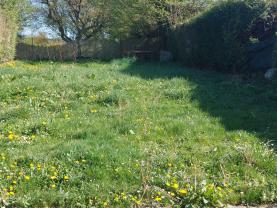 Service : tonte de pelouse Service : tonte de pelouse