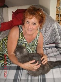 Demander ce catsitter