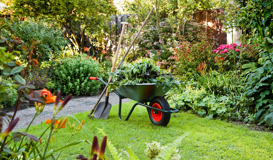 Service entretien jardin 29 entre particuliers