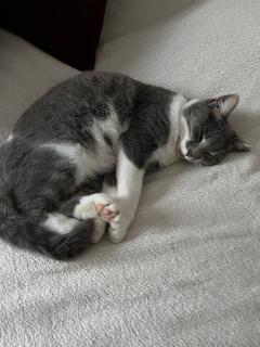 Service : chat Service : chat