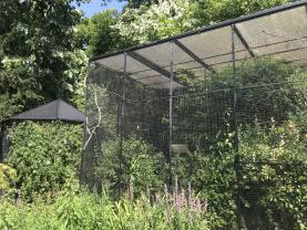 Service : oiseaux Service : oiseaux