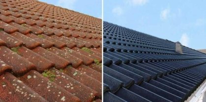 Service : nettoyage toiture