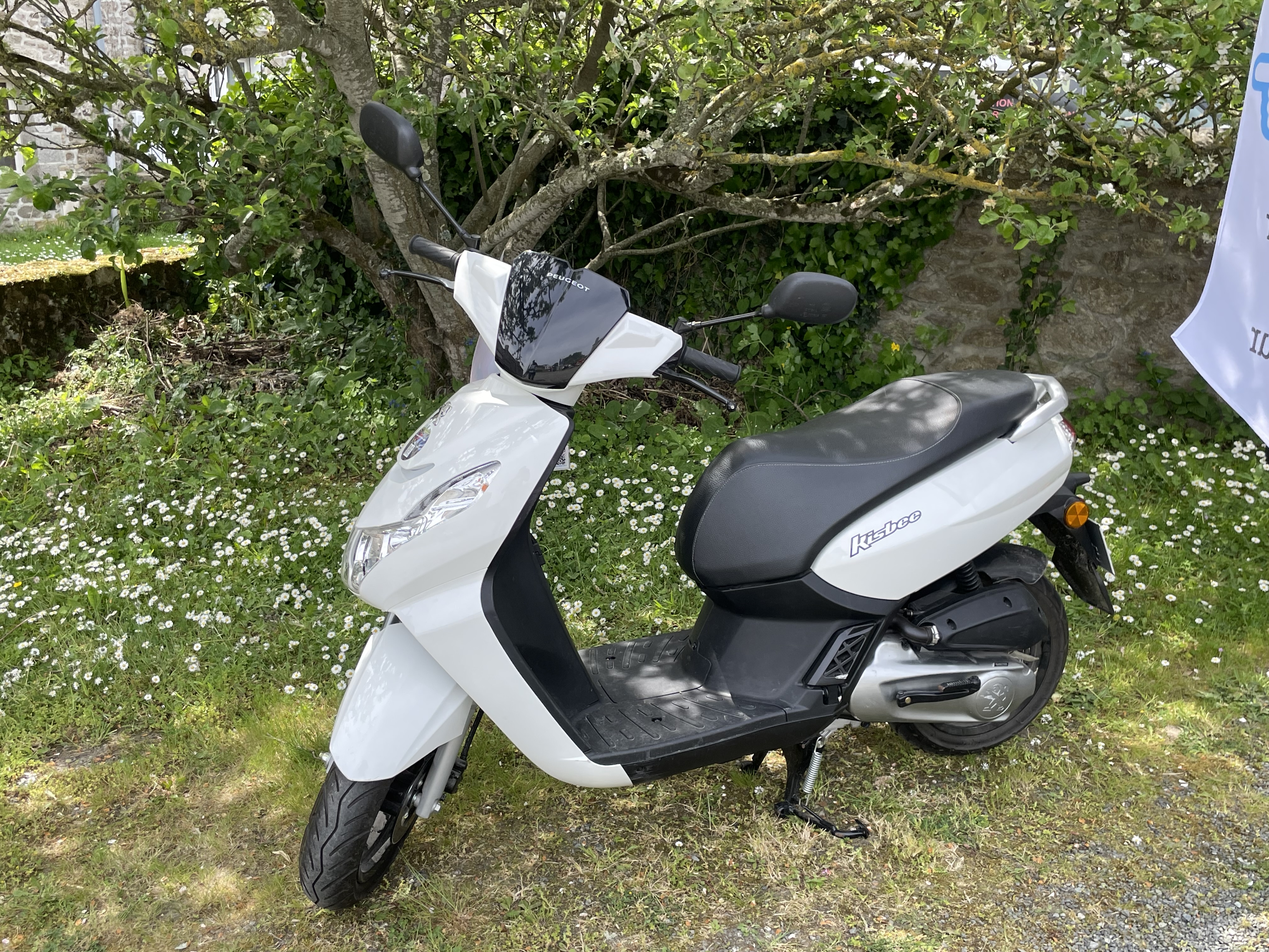 Location scooter 35 entre particuliers