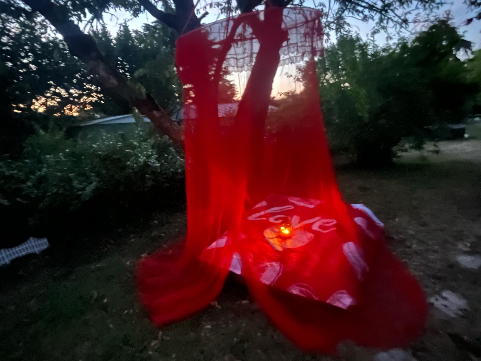 Location jardin 91 entre particuliers