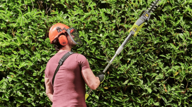 Service : taille de haies Service : taille de haies