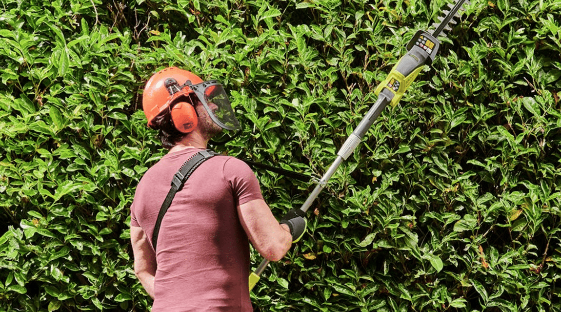 Service taille de haies 67 entre particuliers