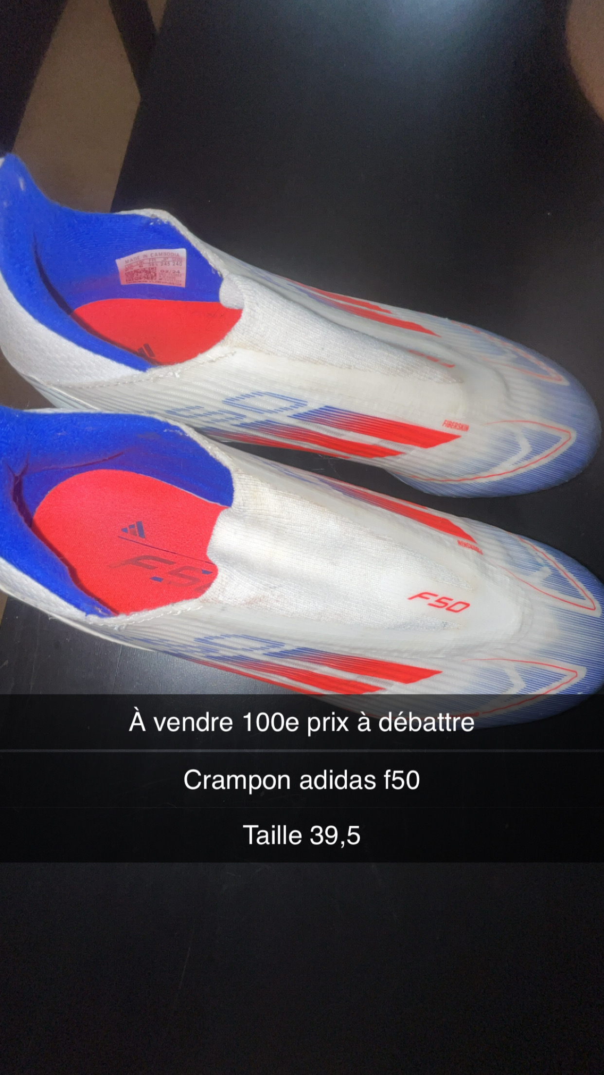 Location raquettes neige 95 entre particuliers