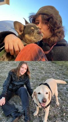 Service : promeneur chien