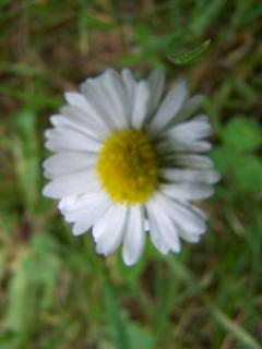 Service : aide personne Service : aide personne