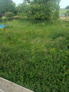 Location : tondeuse Location : tondeuse