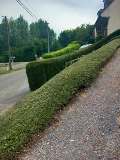 Service : entretien espace vert Service : entretien espace vert