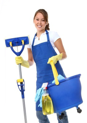 Service aide menagere 75 entre particuliers