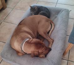 Demander une garde