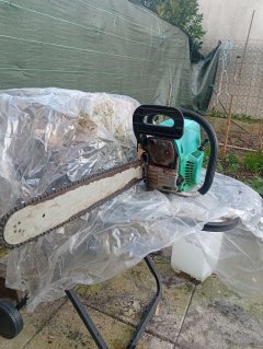 Location : tronconneuse