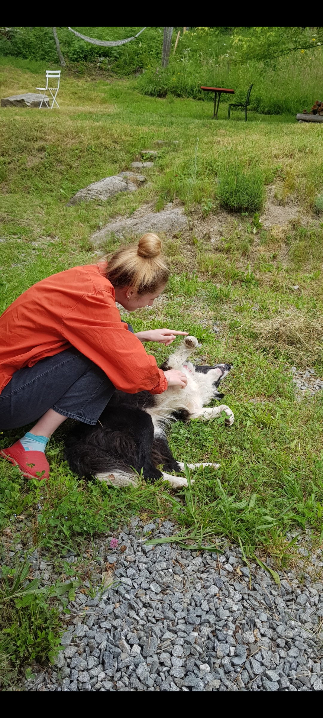 Service garde animaux 69 entre particuliers