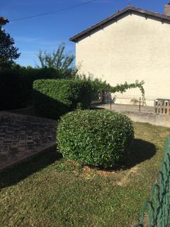 Service : entretien espace vert Service : entretien espace vert